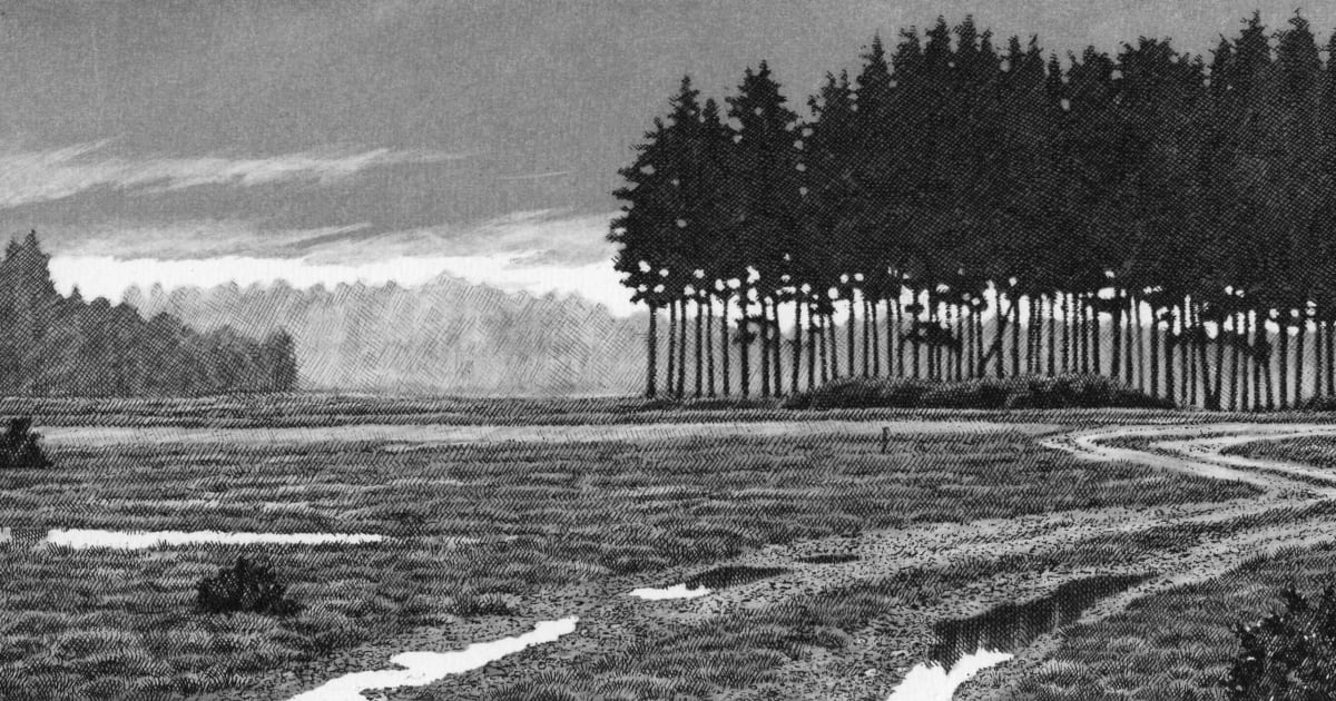 Andrew Stock Re Turf Hill New Forest Bankside Gallery The following data was collected from samples submitted to the north carolina state turf diagnostics lab from 2011 to … andrew stock re turf hill new forest