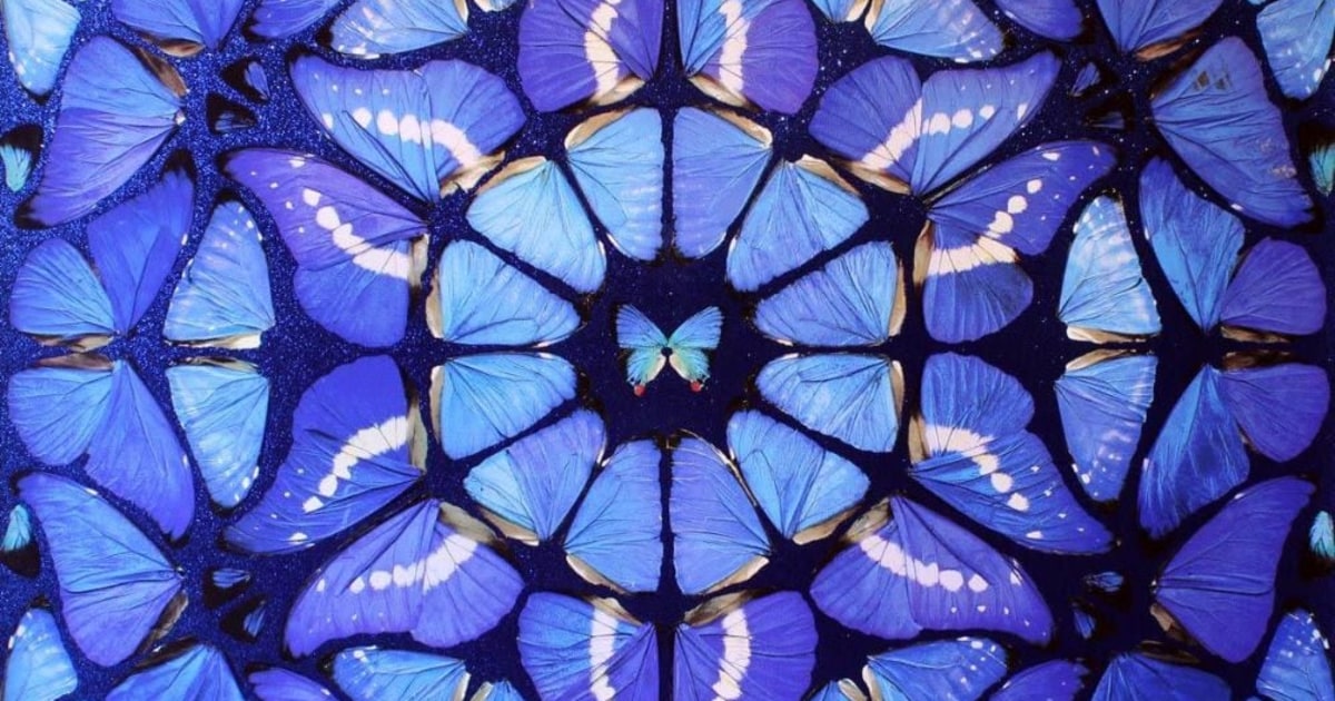 Damien Hirst works | Joseph Fine Art