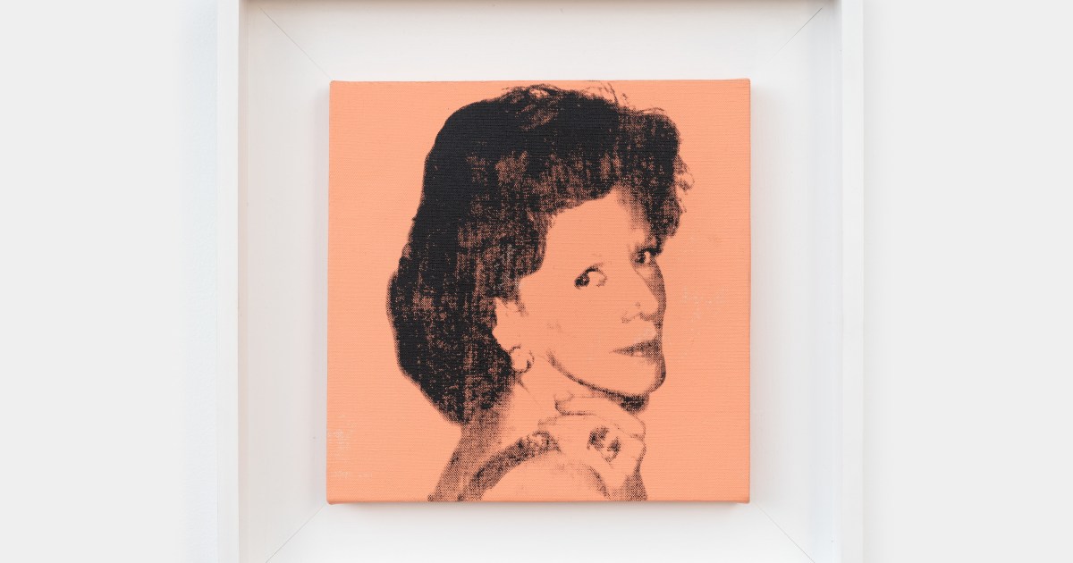 贈り物 Andy Warhol Gallery Kasmin | 洋書