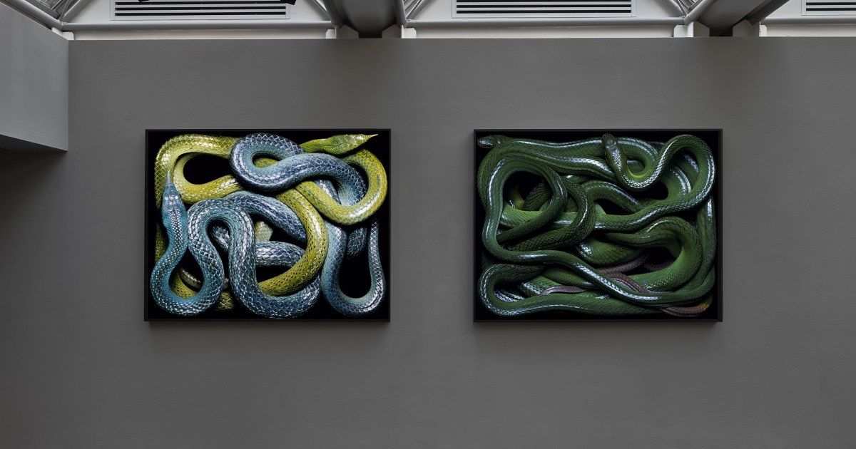 Guido Mocafico: Serpens | 6 June - 9 August 2024 - Works | Hamiltons