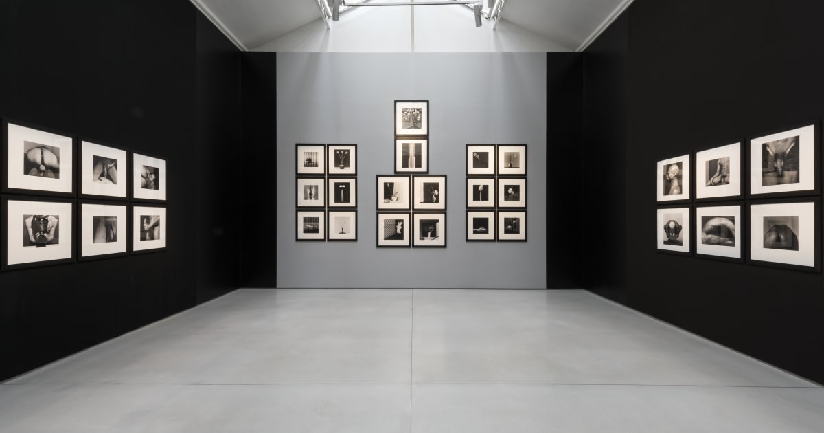 Robert Mapplethorpe | XYZ, curated by Peter Marino