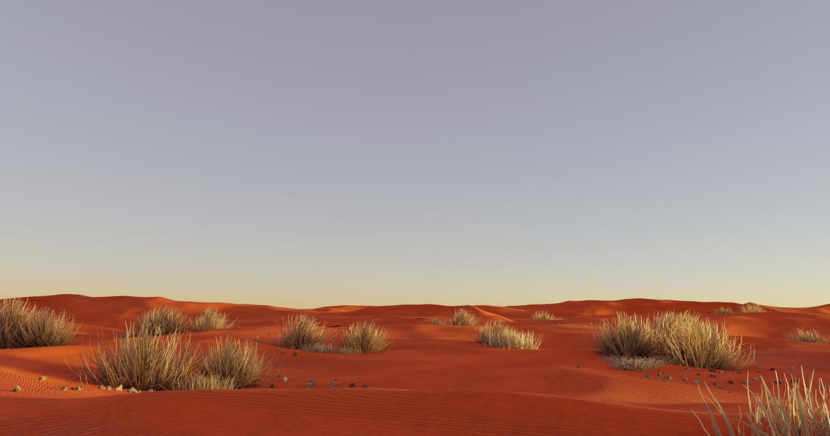 Aboriginal Art the Spaceless gallery