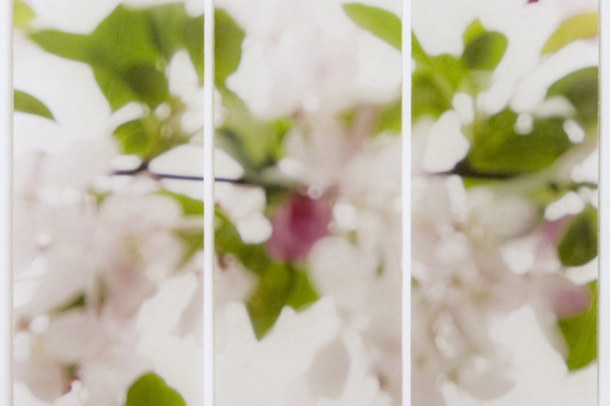 Jeri Eisenberg's "Till it's Time to Go" archival pigment on kozo paper infused with encaustic medium. The work has shades of green, purple and white. The painting resembles a blurred image of petals and leaves.