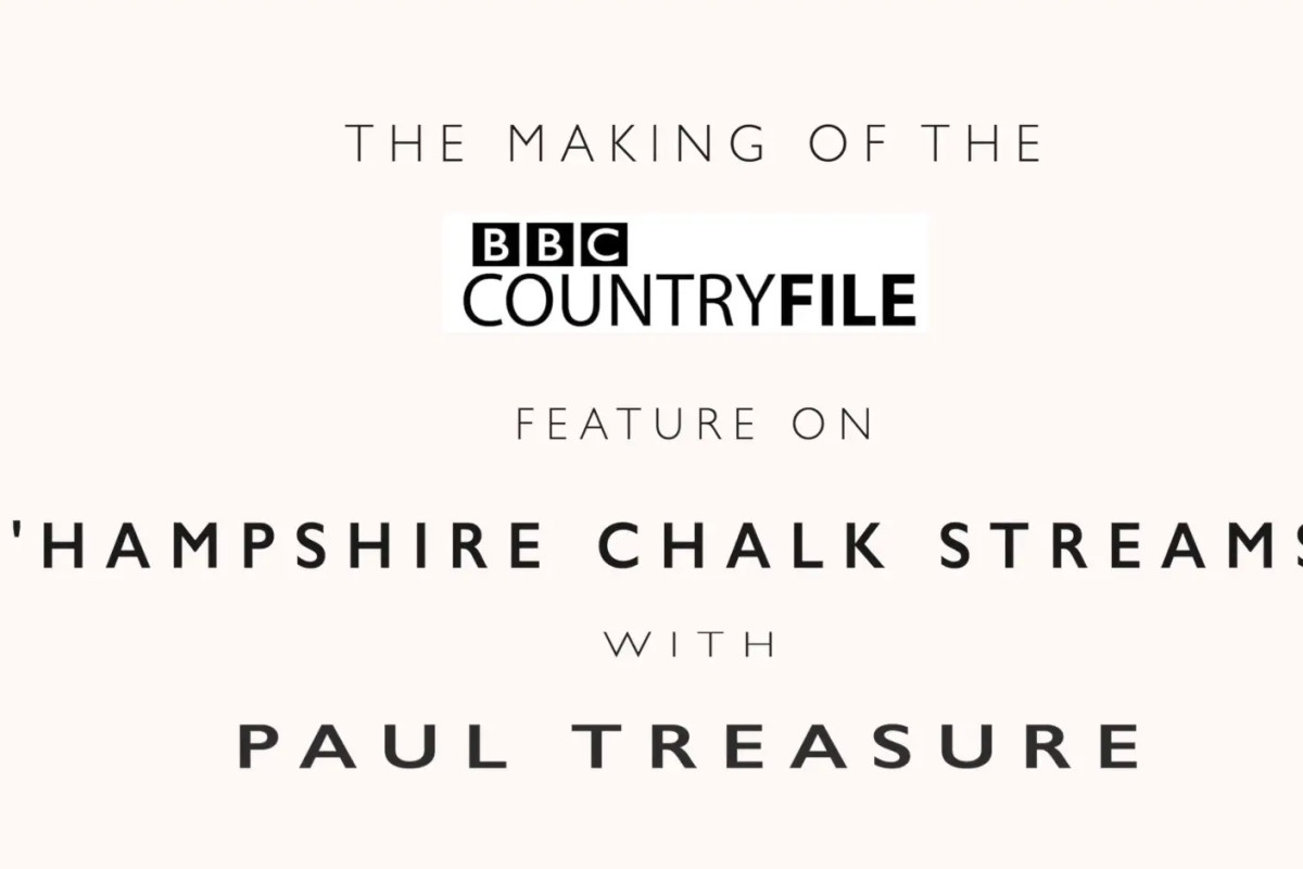 June - Paul Treasure