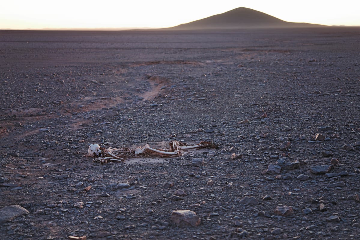 Pierre Huyghe, Atacama