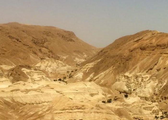 landscape photo of sand dunes, pale grey-blue sky above