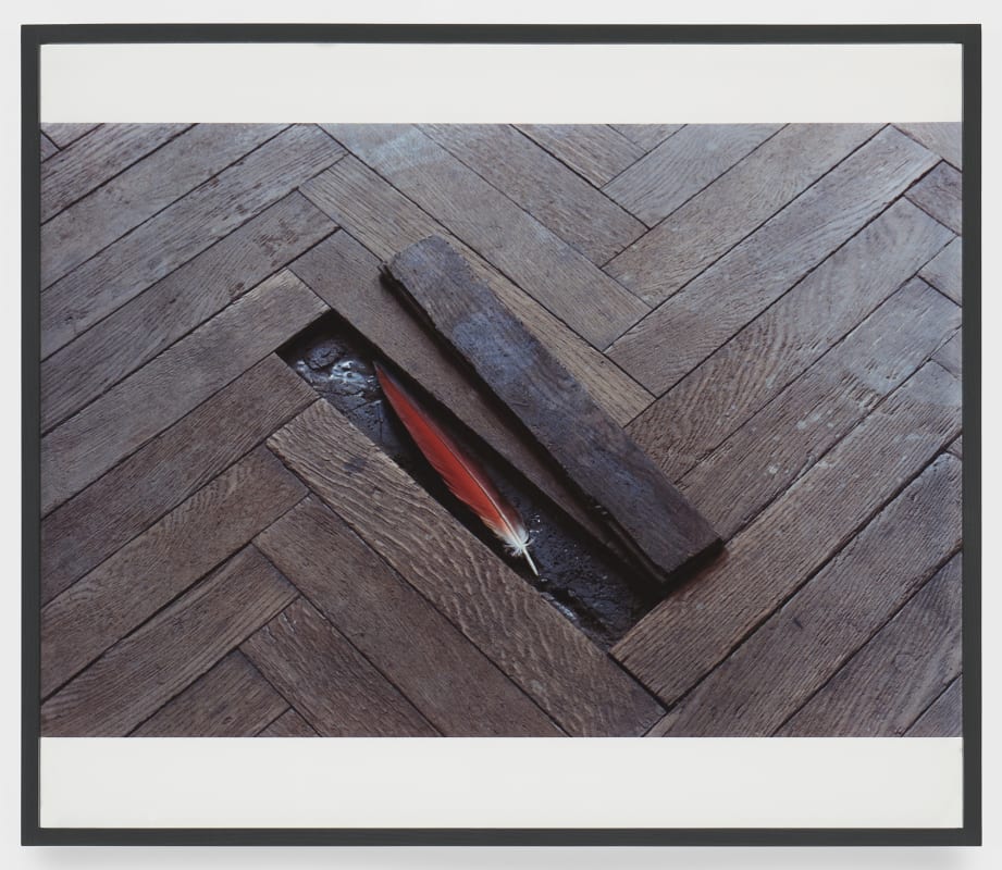 Lothar Baumgarten Kultur-Natur (Culture-Nature), 1971 Chromogenic print Image: 21 1/2 x 32 1/4 in. (54.6 x 81.9 cm) Paper: 27 1/2 x 32 3/8 in. (69.8 x 82.2 cm
