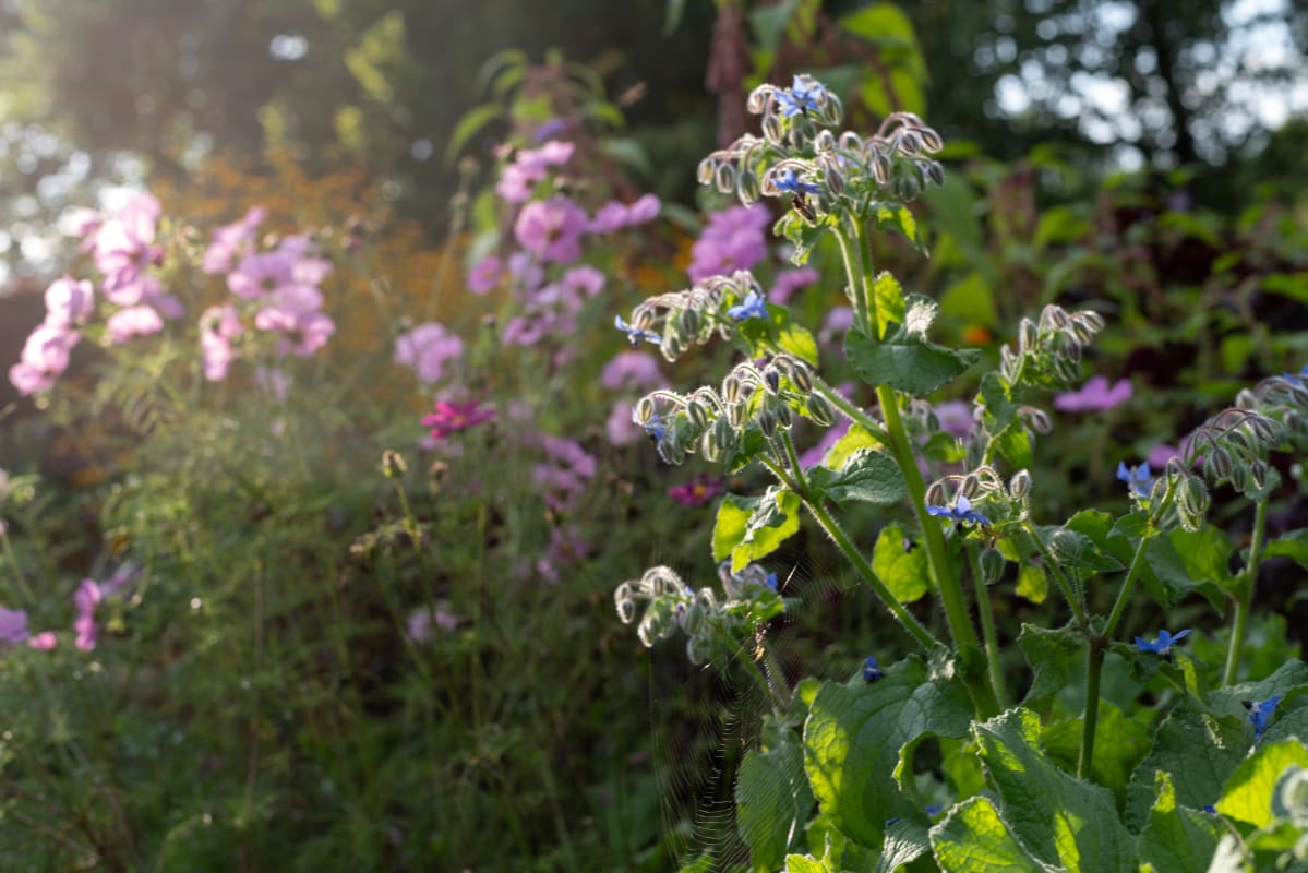 a work by by Danh Vo