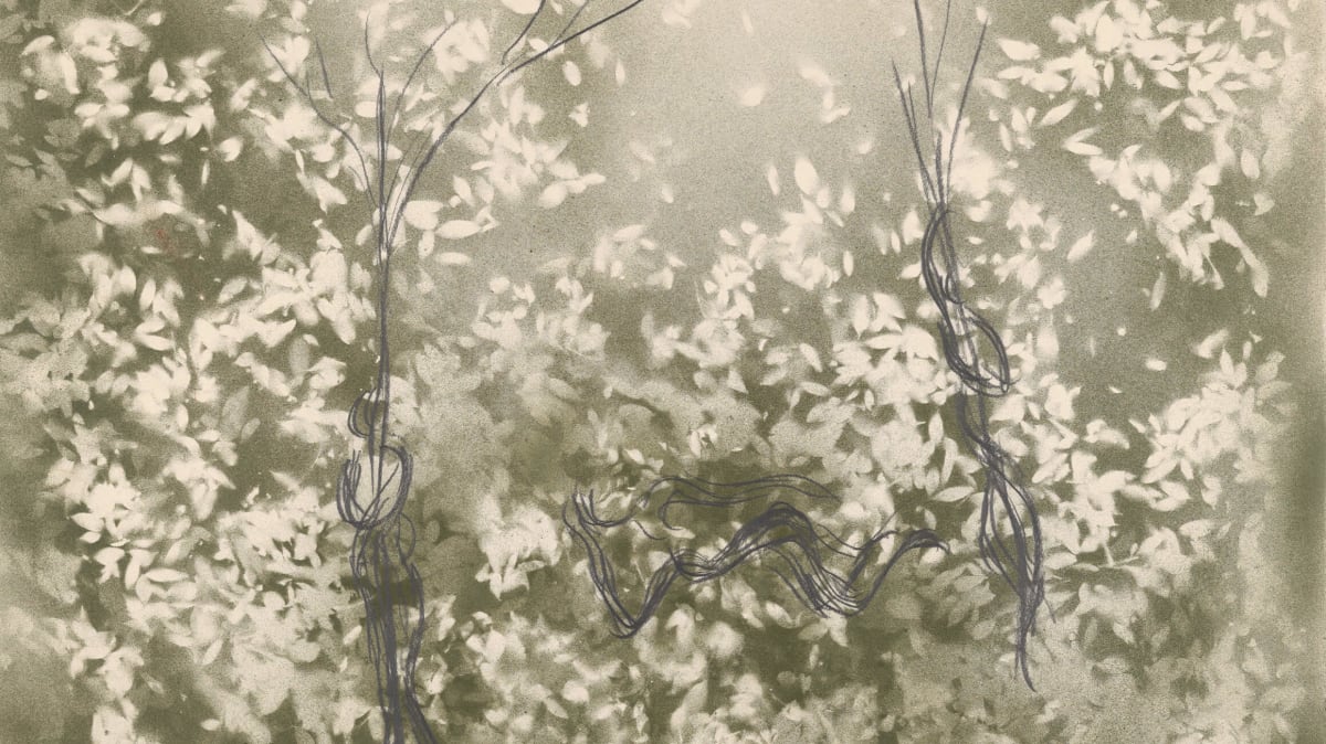 Untitled (detail), 1982, by Giuseppe Penone (Italian, born 1947), 2019-183-88. © Giuseppe Penone / Artists Rights Society (ARS), New York / SIAE, Rome