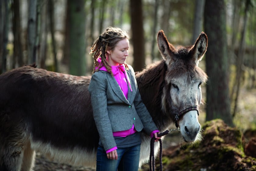 A woman leads a donkey through the forest. 