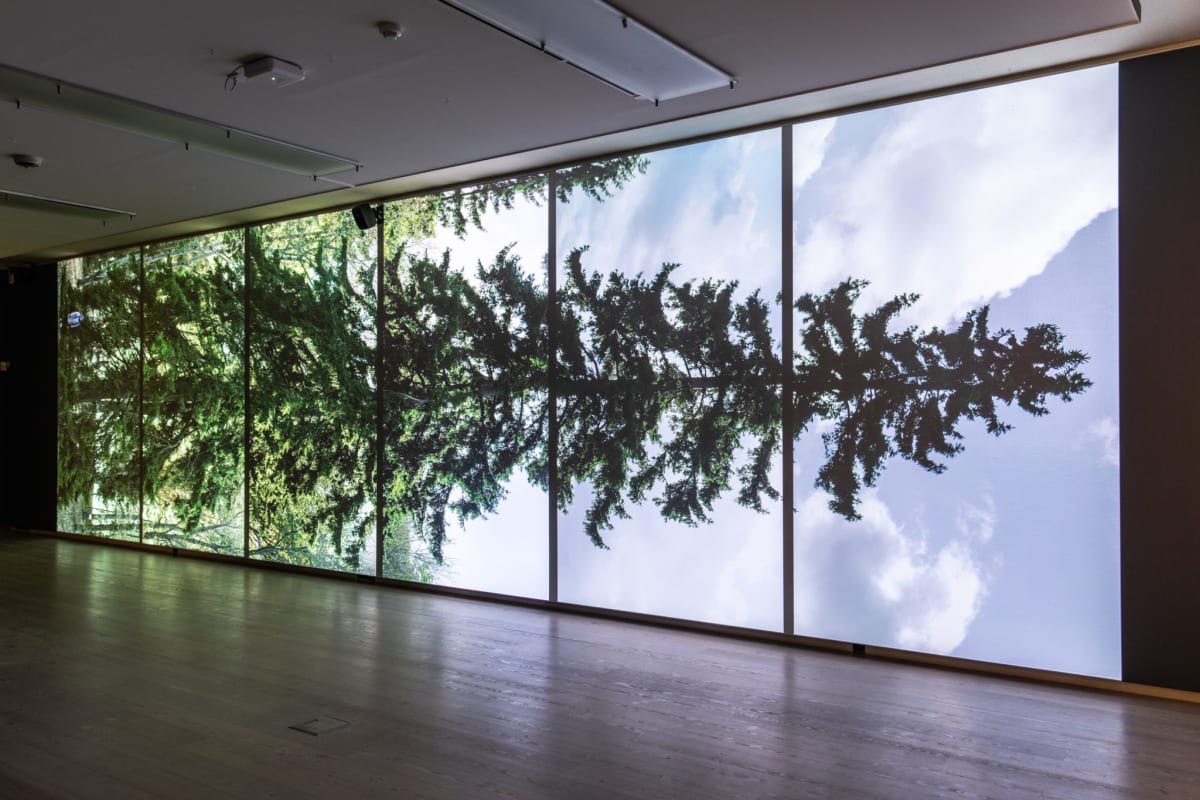 Eija-Liisa Ahtila, Horizontal – Vaakasuora, 2011, 6-channel projected installation, 6 min, 16:9, audio 5.1. Photo: Petra Kotro.