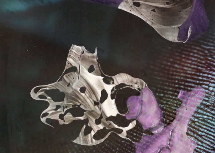 Amorphous black and white polka-dotted flower petal attached to a light purple petal in space.