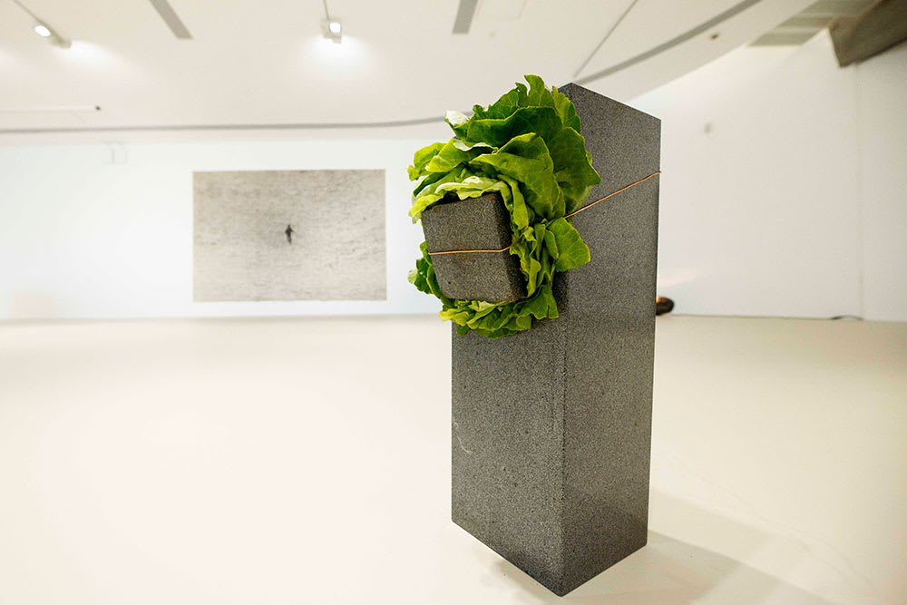 Installation view: Giovanni Anselmo: Oltre l'orizzonte, Museo nazionale delle arti del XXI secolo, 20 June – 6 October 2024. Photo © MUSA, courtesy MAXXI Foundation.
