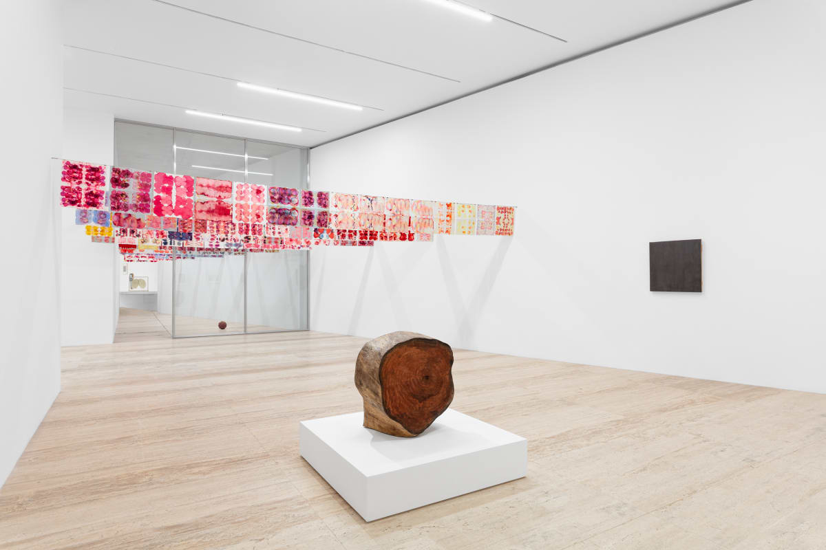 Installation view of the exhibition Gabriel Orozco: Politécnico Nacional. Museo Jumex, 2025. Photo credit: Gerardo Landa & Eduardo López (GLR Estudio).