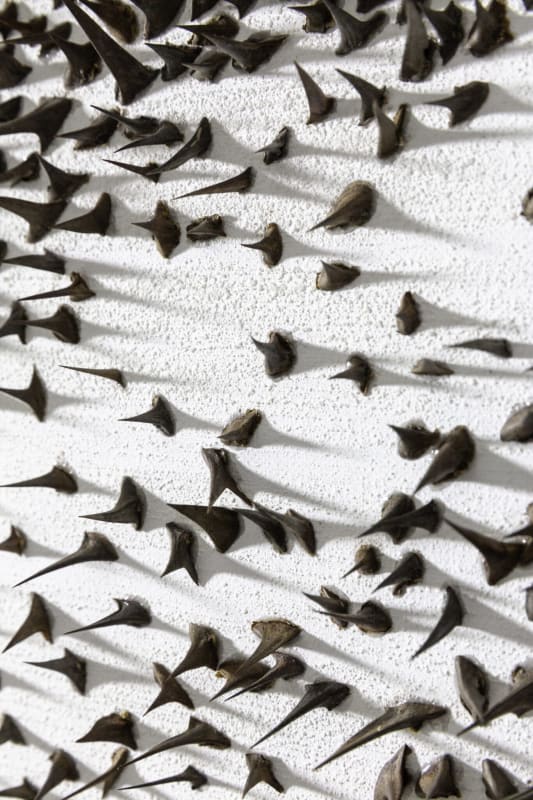Giuseppe Penone, A occhi chiusi (With Eyes Closed), 2009. Acrylic, glass microspheres, acacia thorns on canvas, and white Carrara marble. Photo © Archivio Penone. Courtesy Giuseppe Penone.
