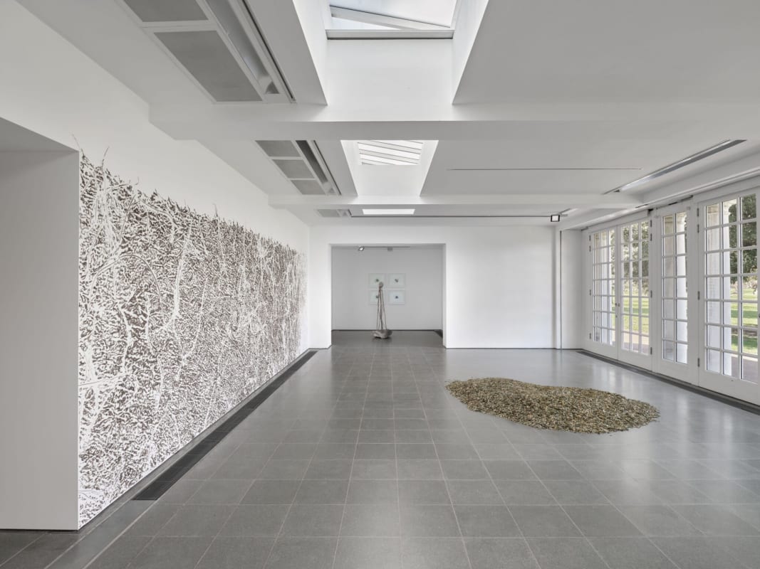 Giuseppe Penone, Verde del bosco (Forest Green), 1986 and Verde del bosco – estate 2017 (Forest Green – Summer 2017), 2017, installation view, Serpentine South. ©Photo: George Darrell. Courtesy Giuseppe Penone and Serpentine.