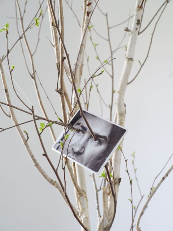 Giuseppe Penone, Sguardo vegetale (Vegetal Gaze), 1995. Photo ceramic. ©Photo: George Darrell. Courtesy Giuseppe Penone and Serpentine.