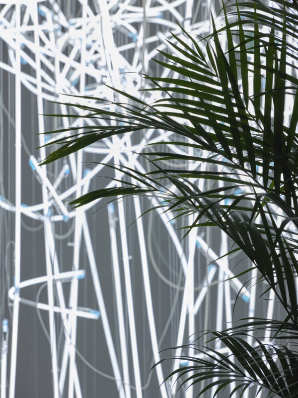 Cerith Wyn Evans .... in light of the visible, Museum of Contemporary Art Australia, Sydney, 2025, image courtesy and © Cerith Wyn Evans, photograph: Hamish McIntosh