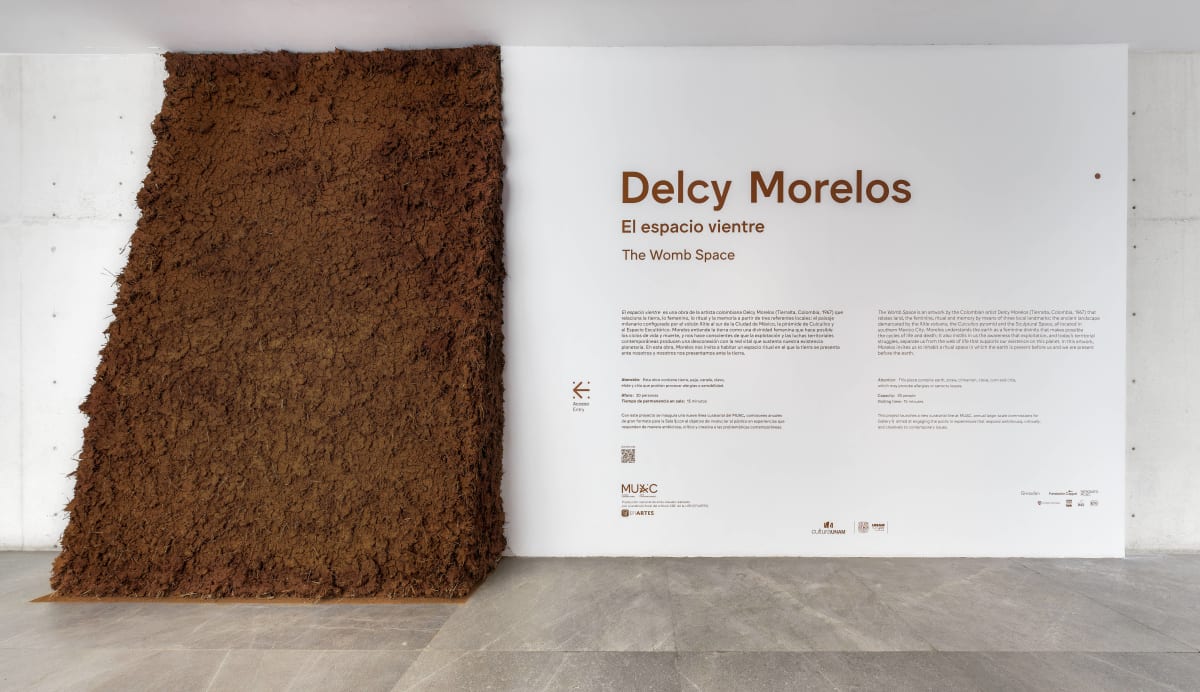 Image: Delcy Morelos - El espacio vientre