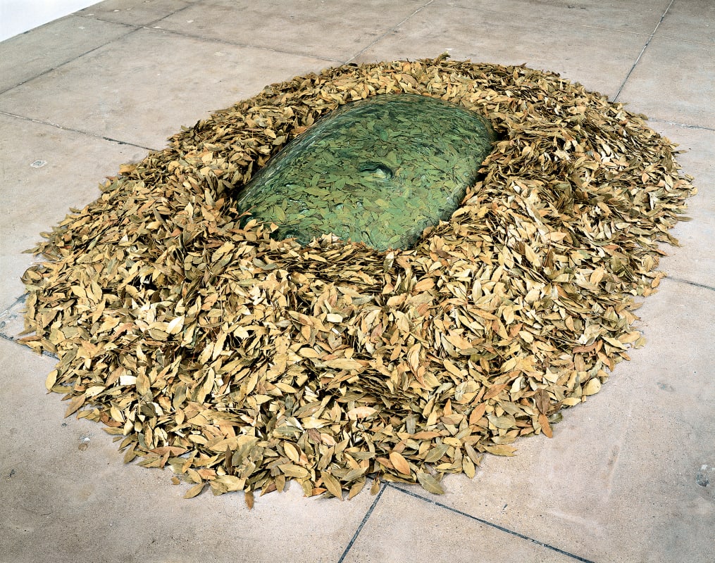 Image: Arts of the Earth