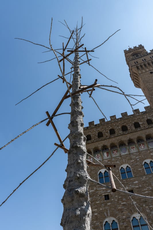 Giuseppe Penone, "Abete," Piazza della Signoria