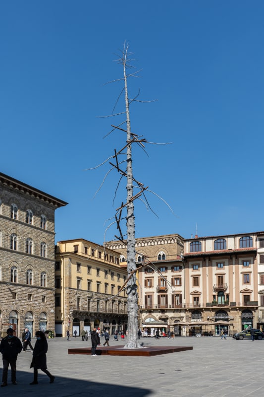 Giuseppe Penone, "Abete," Piazza della Signoria