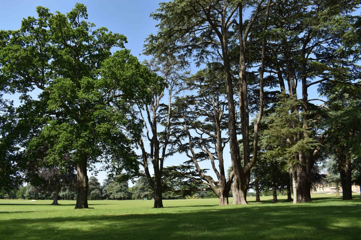 Tino Sehgal at Blenheim Park and Gardens