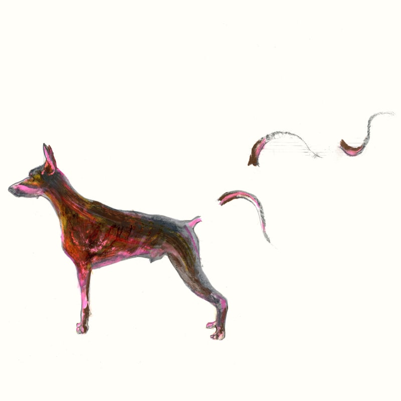 Ode to a Tail, 2021, by Anri Sala