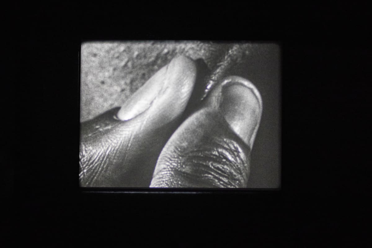 Installation view of “Steve McQueen: Sunshine State” at Pirelli HangarBicocca