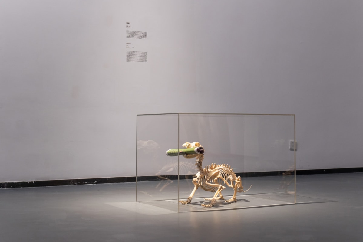 Installation view of “Maurizio Cattelan: Wish You Were Here” in Shenzhen