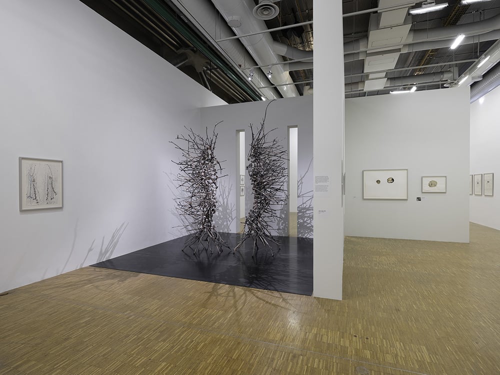 Image: Giuseppe Penone - Drawings