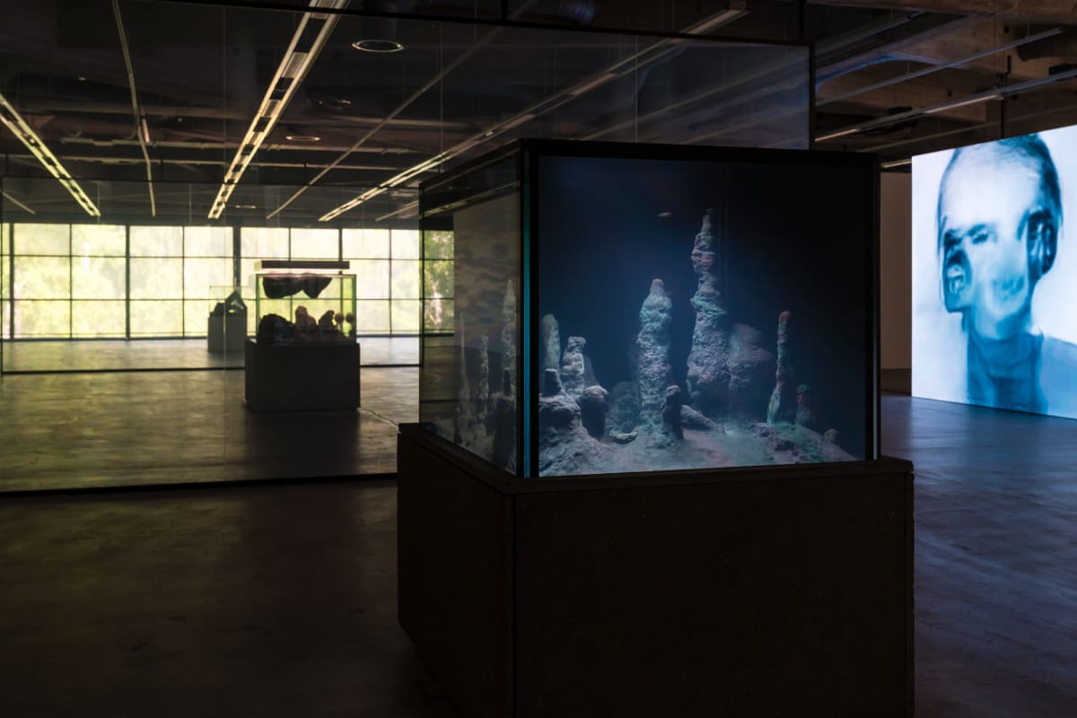 Pierre Huyghe exhibition at EMMA Museum