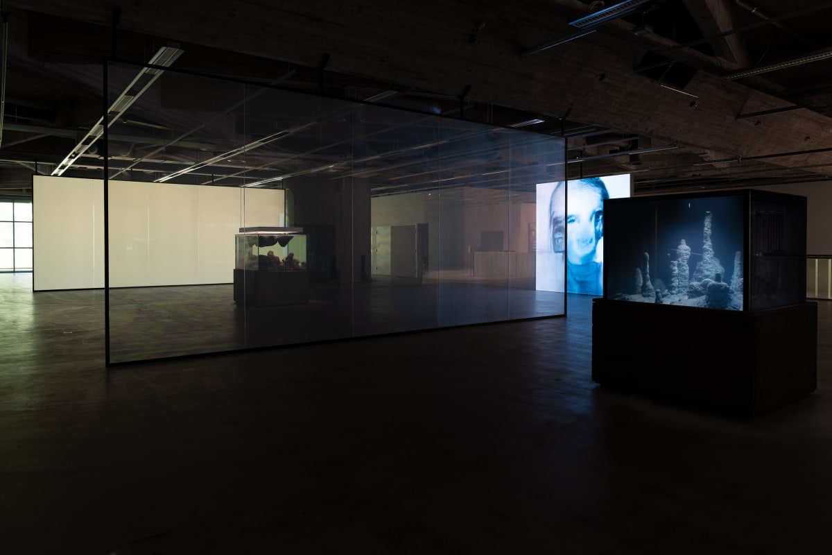 Pierre Huyghe exhibition at EMMA Museum