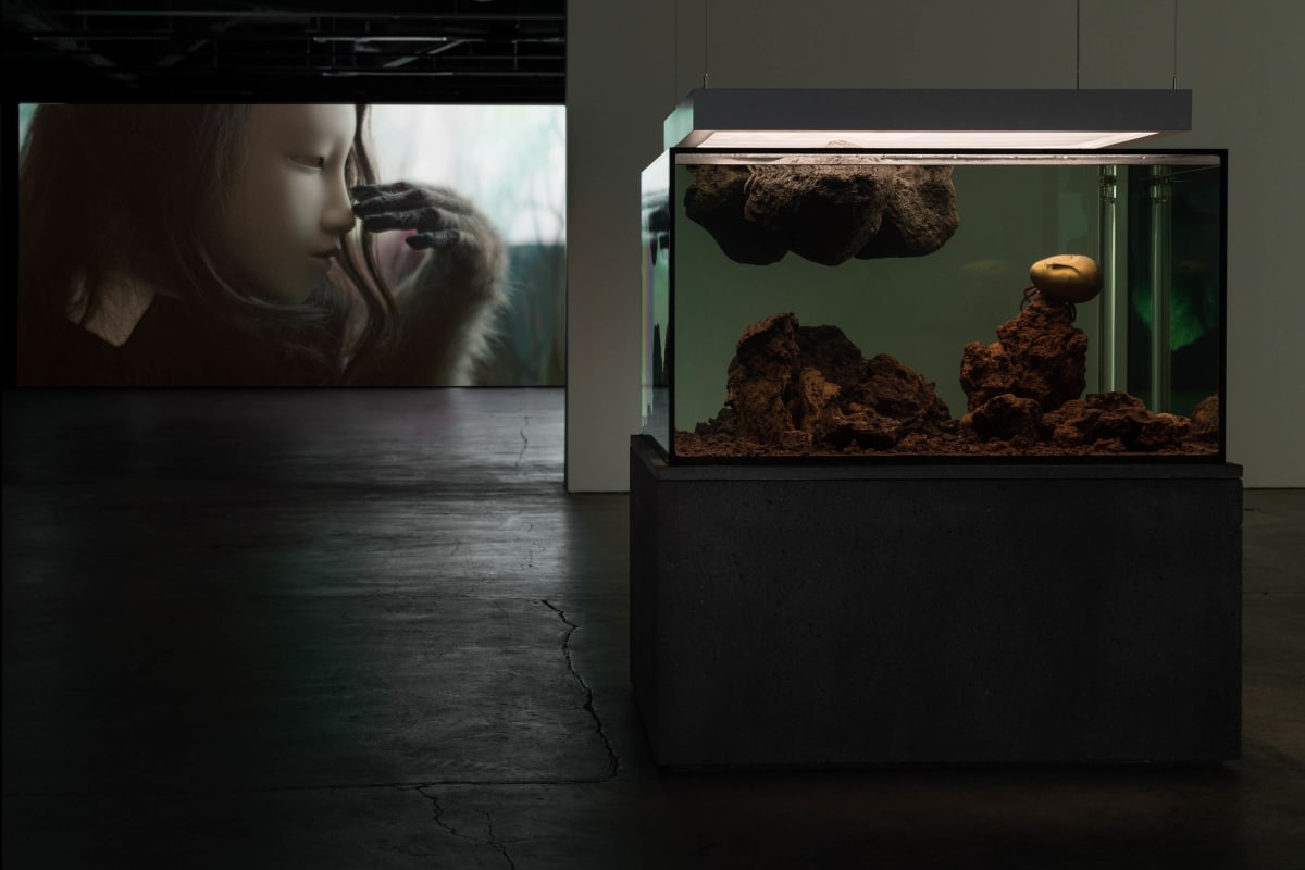 Pierre Huyghe exhibition at EMMA Museum