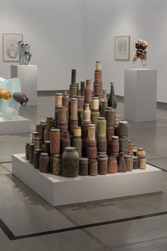 Installation view of "Tony Cragg: Alternative Reality" at Państwowa Galeria Sztuki