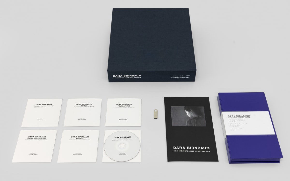 Image: Dara Birnbaum