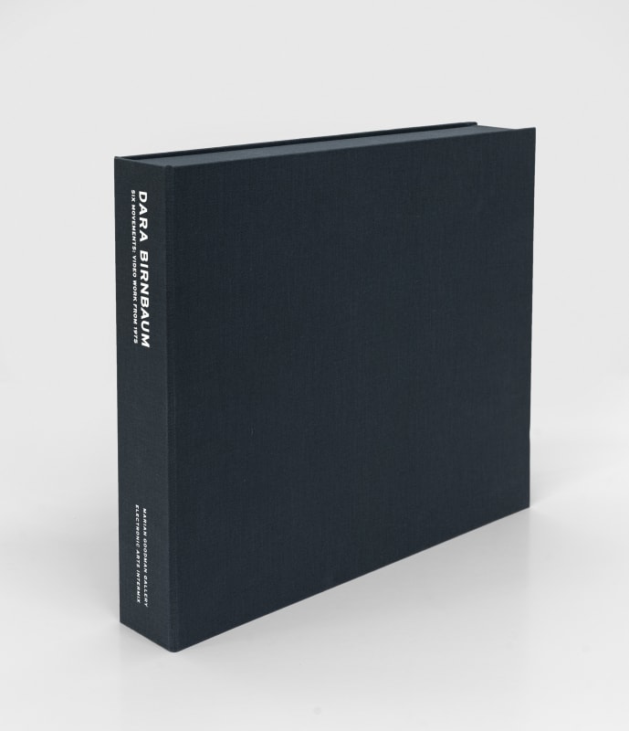 Image: Dara Birnbaum