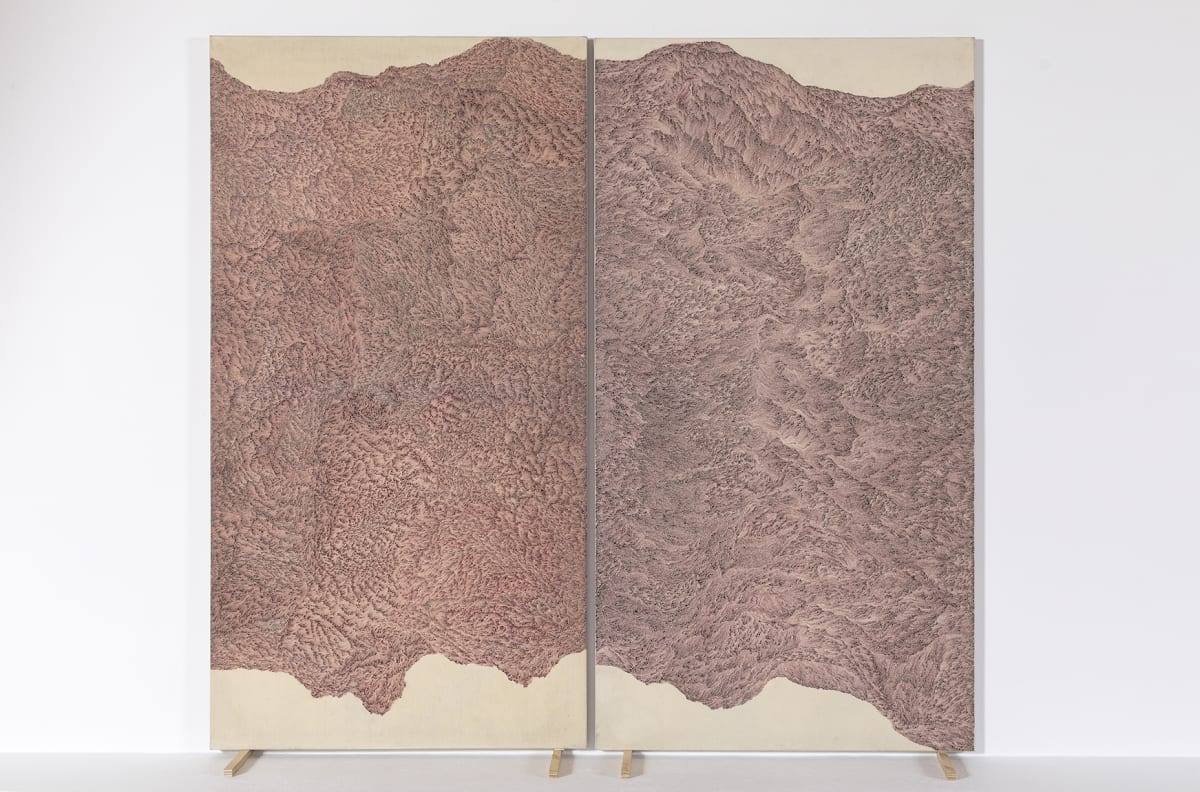 Delcy Morelos, Concentrated Fields (Espacios concentrados), 2002