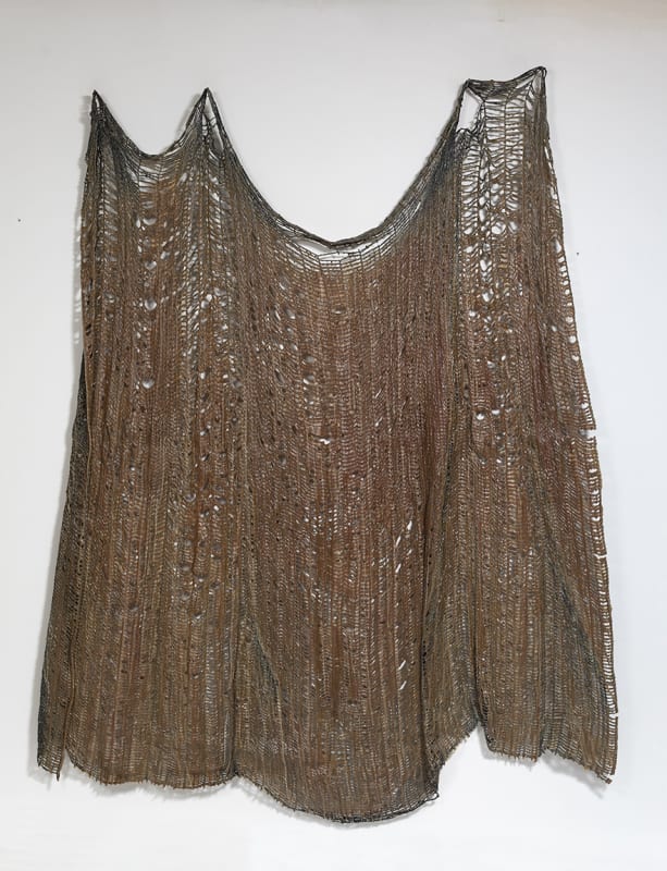 Delcy Morelos, Double Negation (La doble negación), 2008