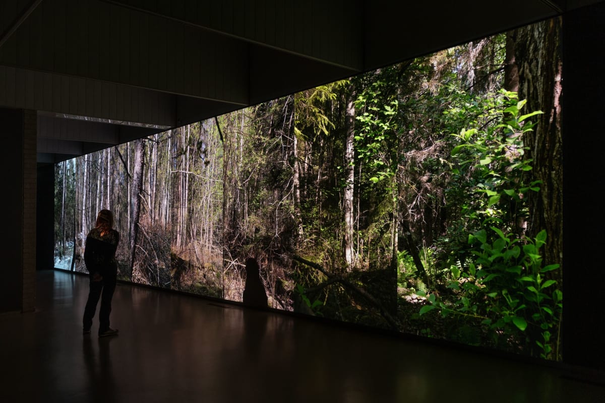 Eija-Liisa Ahtila, APRIL