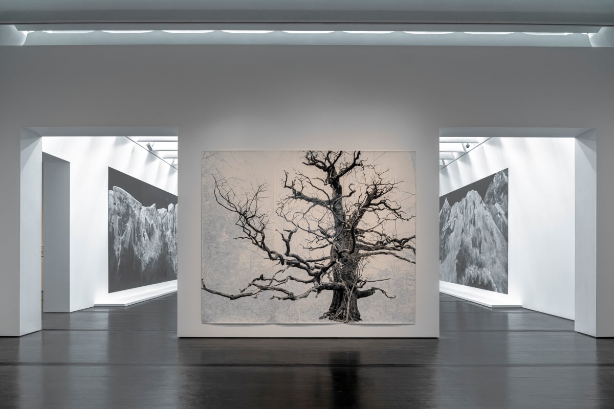 Installation view: “Tacita Dean: Blind Folly,” The Menil Collection, 2024. photo credit: Paul Hester / The Menil Collection