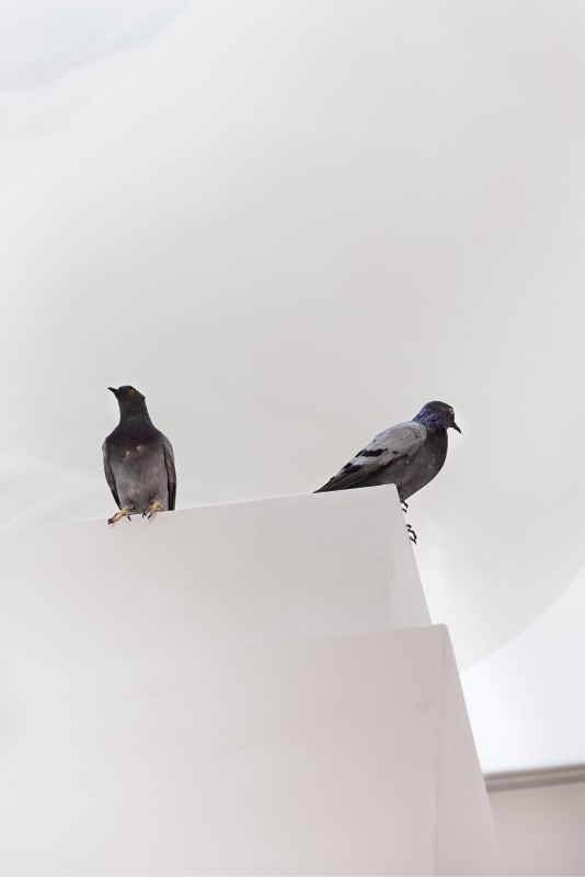 Maurizio Cattelan, Ghosts, 2021 Photo: My Matson/Moderna Museet © Maurizio Cattelan 2024