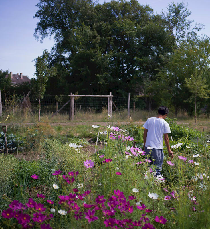 Danh Vo. © Nick Ash