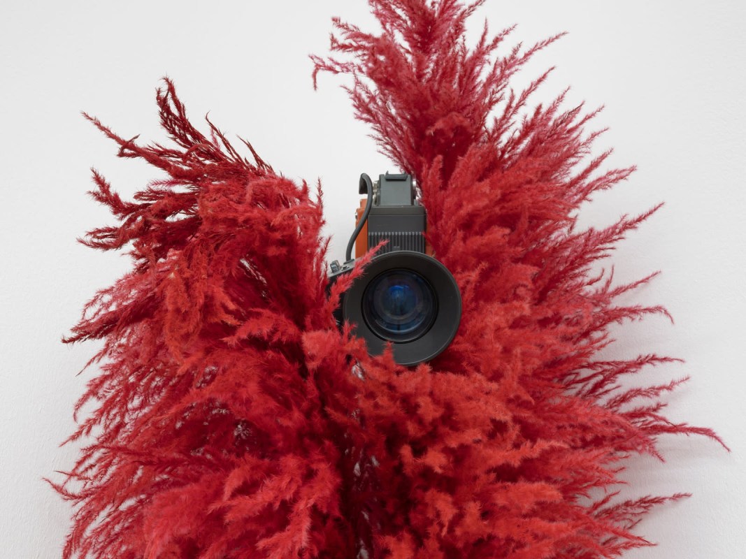 Image: Julia Scher – MAMCO, Geneva