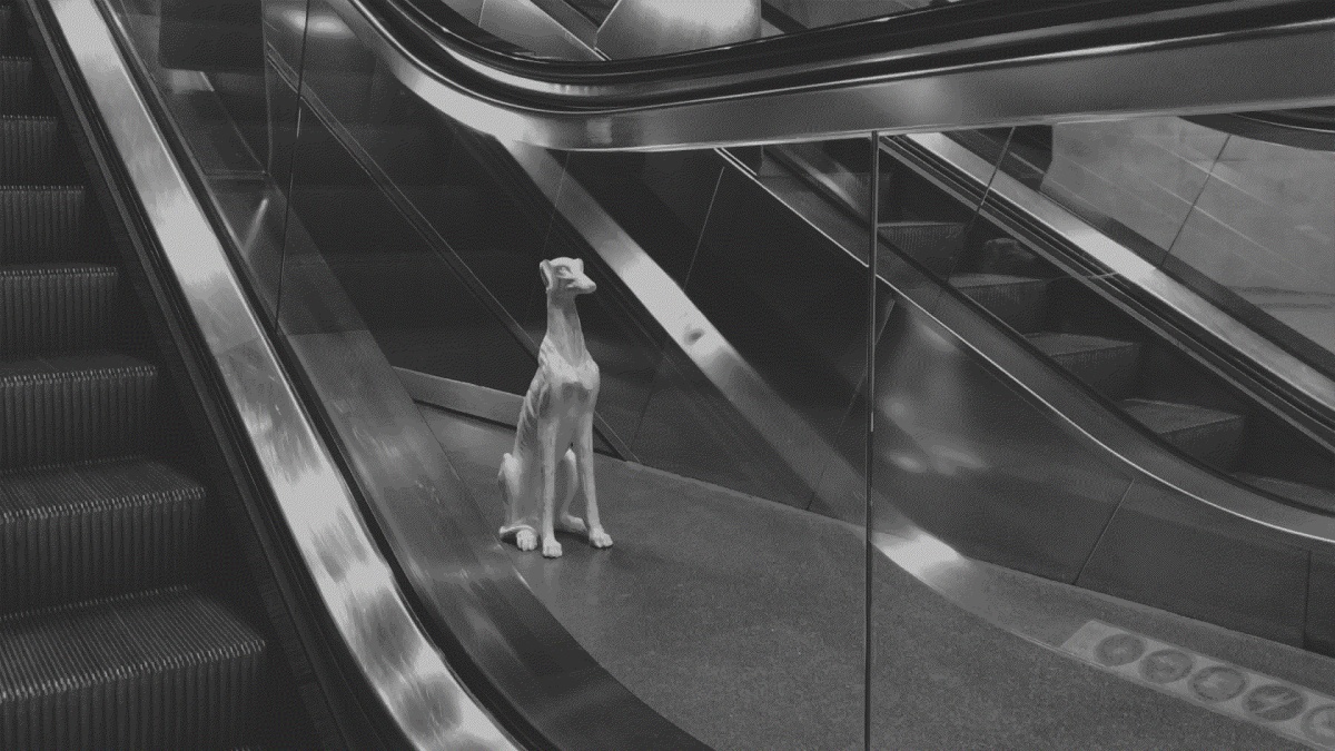 Image: Julia Scher, Planet Greyhound