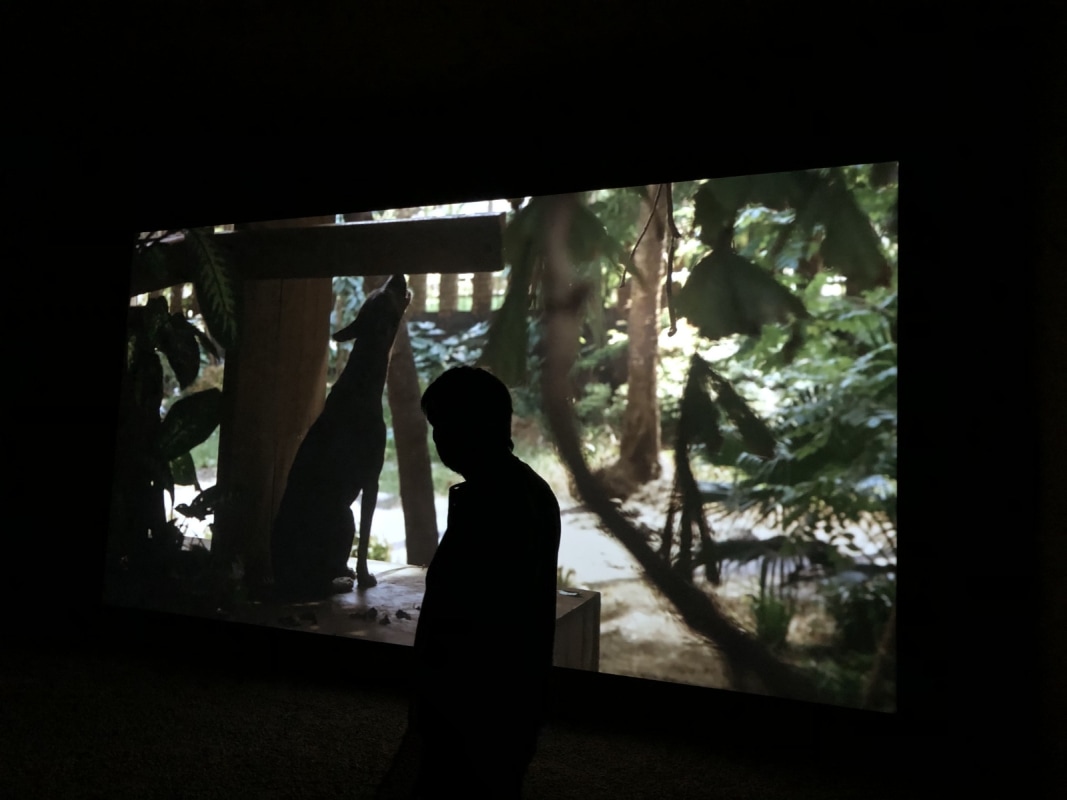 Image: Letter from Berlin – March 20, 2020