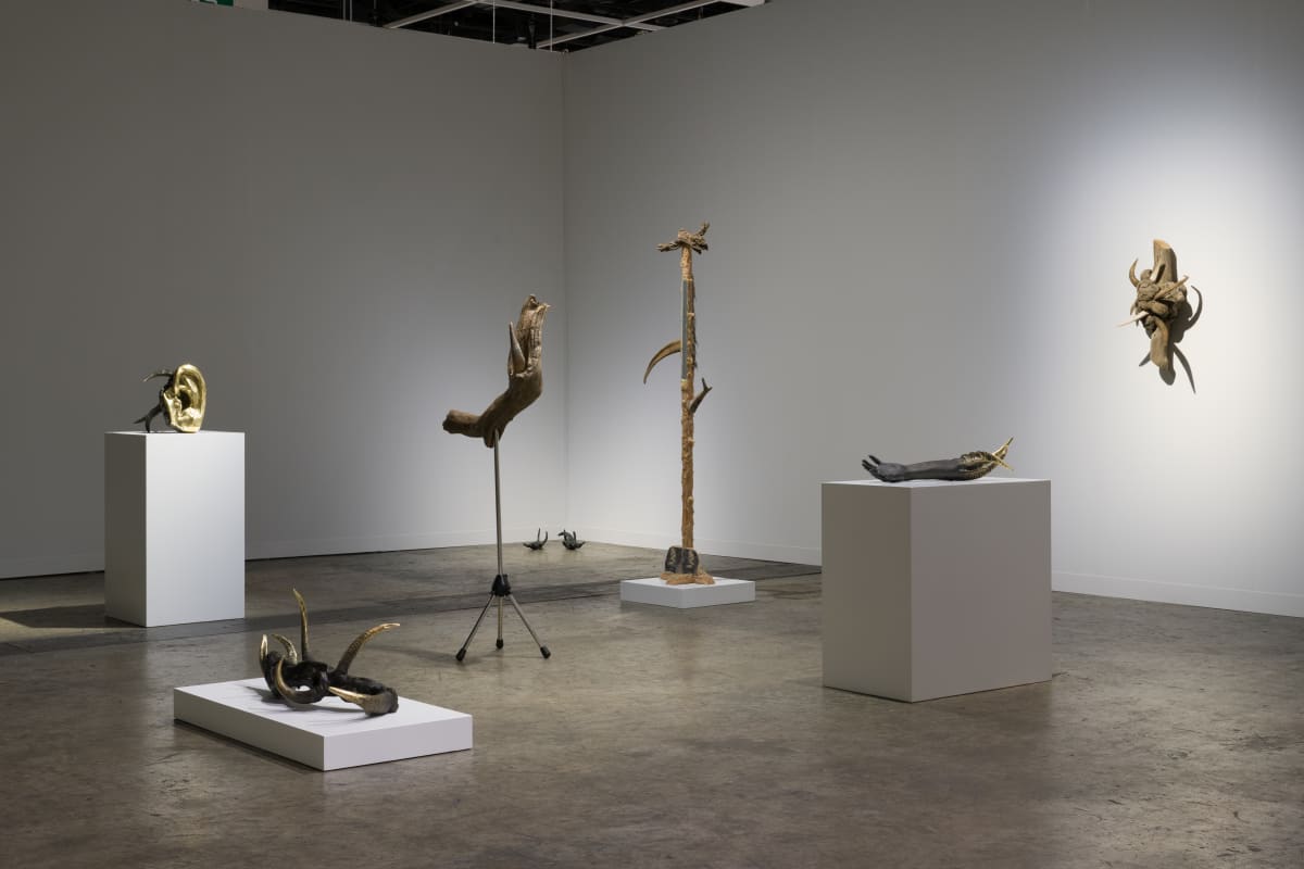 Image: Jantsankorol Erdenebayar