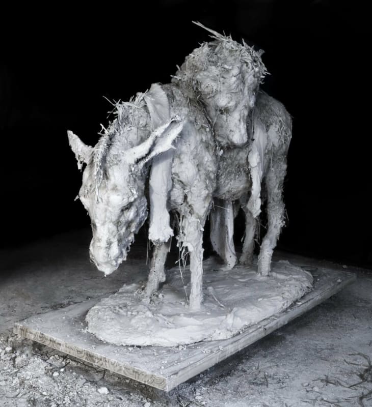 Image: Nicola Hicks reviewed on The Boston Globe