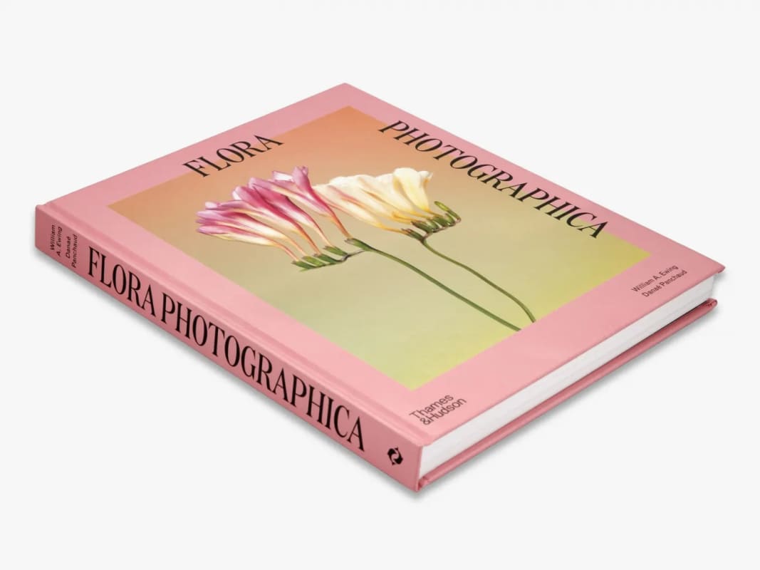 Image: Matthew Flowers selects his favourite photobook