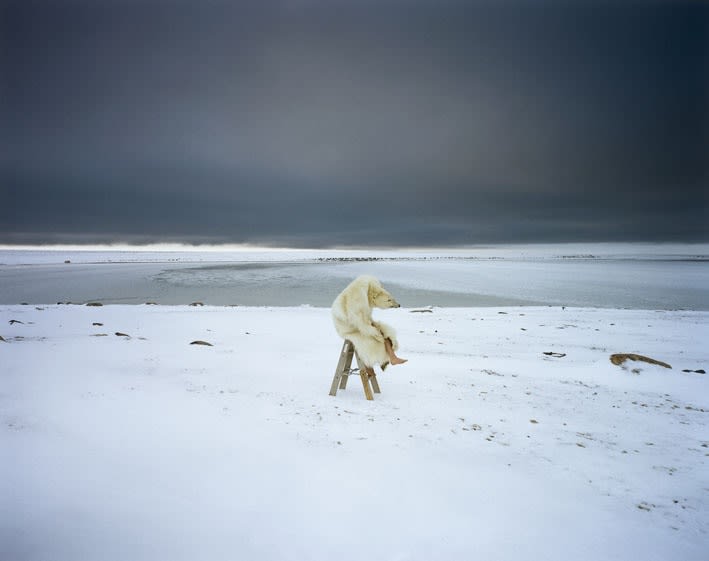 Image: Scarlett Hooft Graafland's Polar Bear and Turtle